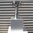 Tech Crunch award trophy 2013